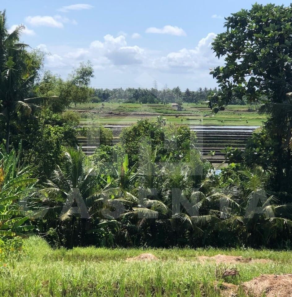 Attractive investment opportunity in Tabanan. Spacious land for sale in Bali close to the beach with rice field view.