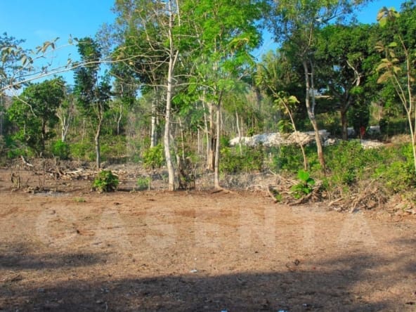 Freehold land in strategic Pecatu location, close to various cafes and main road. Paved access with villas and residential homes in the surroundings.