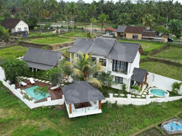 Aerial view of apartment for investment in Ubud