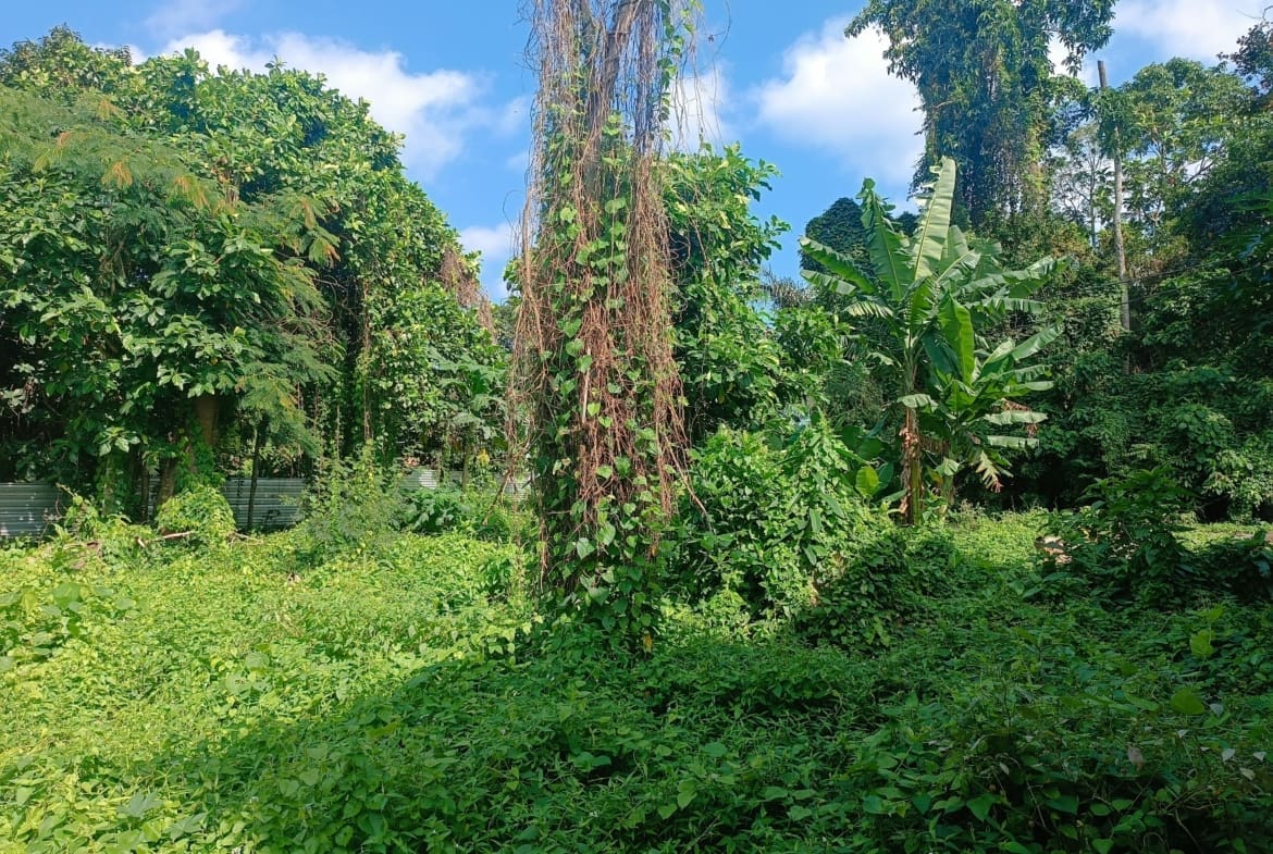 Prime leasehold land for villa or apartment development on Nyanyi riverfront