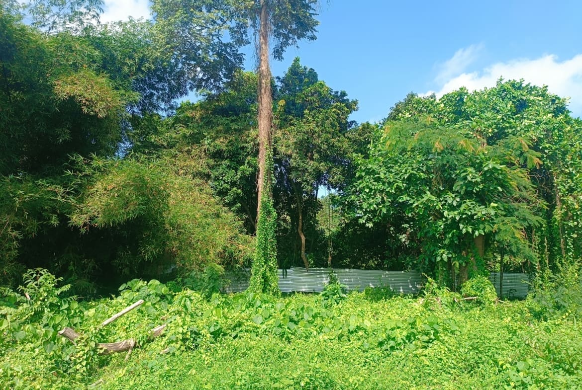 Ideal leasehold land for private luxury villa or apartment development on Nyanyi riverfront