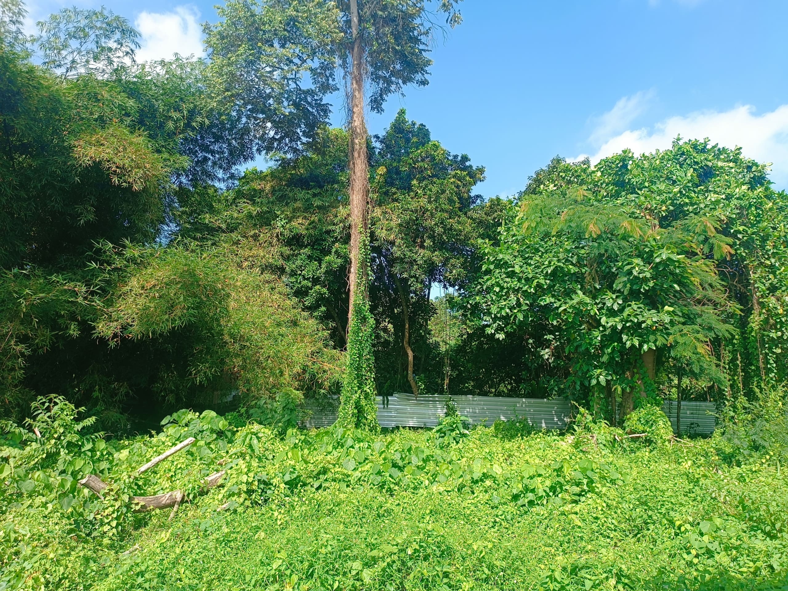 Ideal leasehold land for private luxury villa or apartment development on Nyanyi riverfront