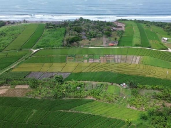 Coastal land near Yeh Gangga Beach with oceanview potential